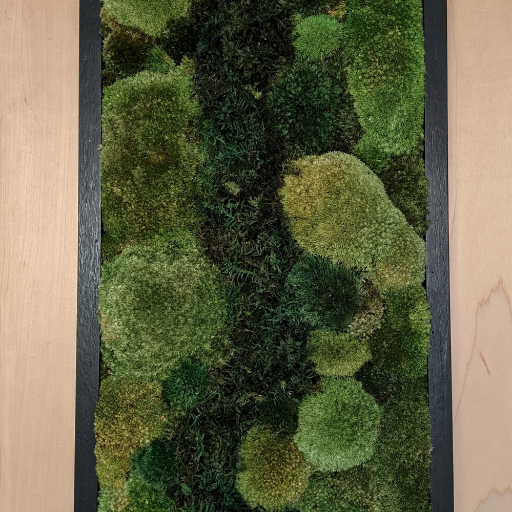Moss Wall Art Decor